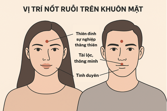Sơ đồ vị trí các nốt ruồi phong thủy trên khuôn mặt và ý nghĩa về vận mệnh, tài lộc.